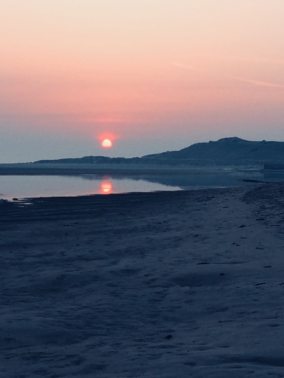 A view of Budle Bay