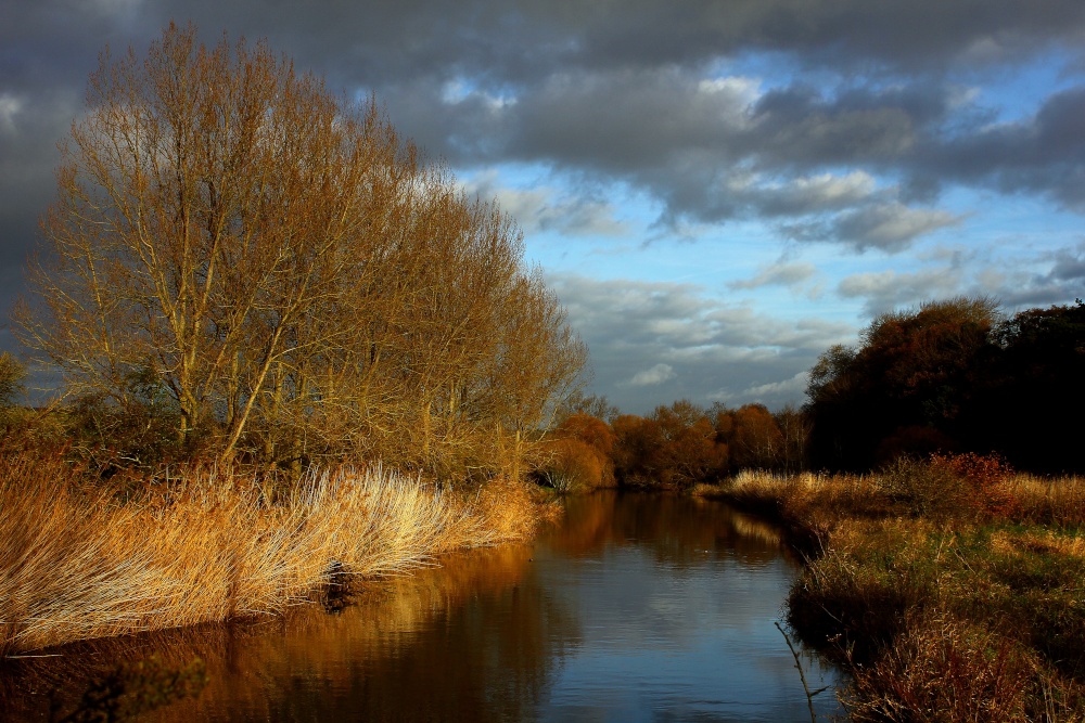 Looking upstream from the White Bridge