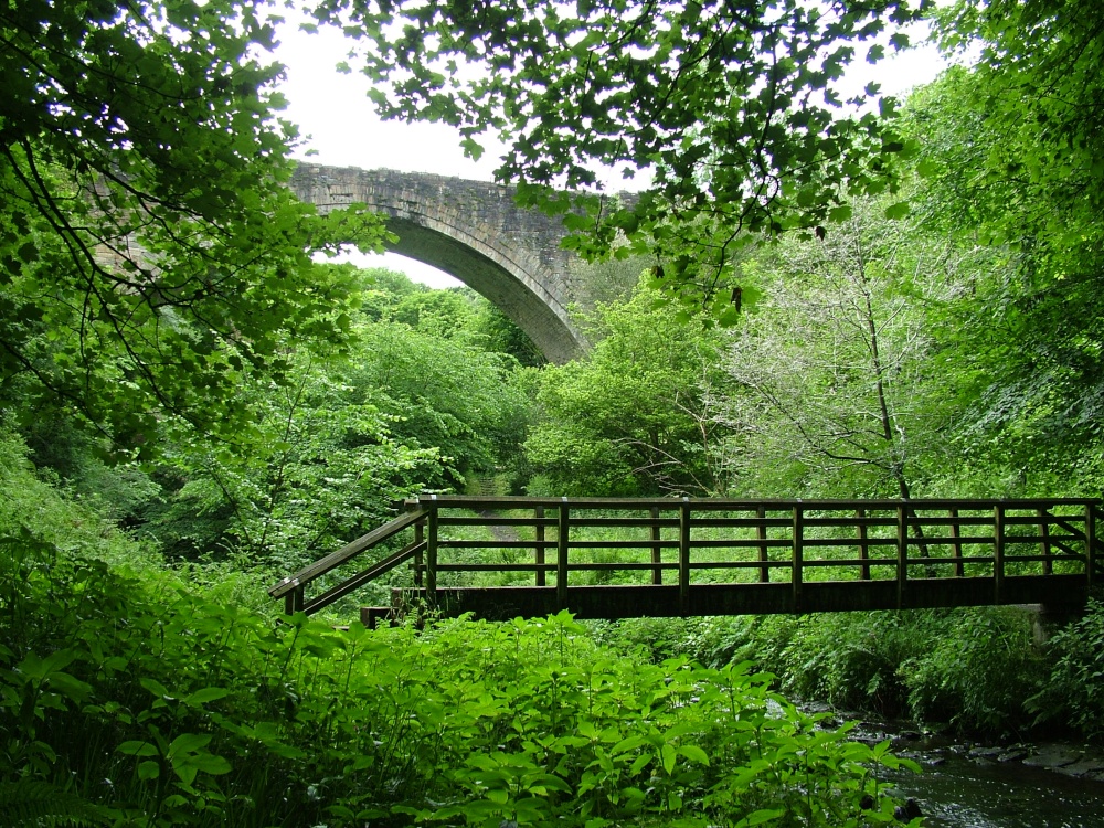 Photograph of Causey Arch