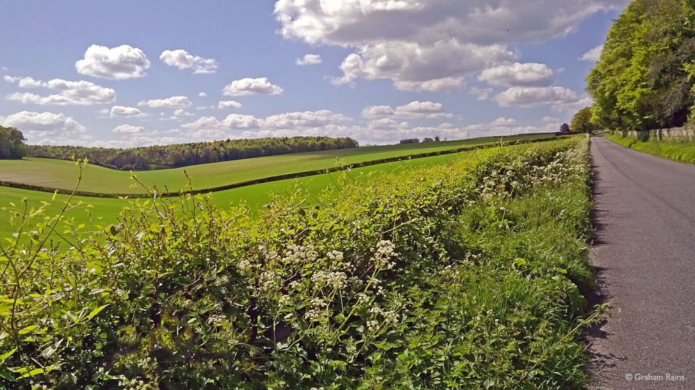 North Dorset Trailway