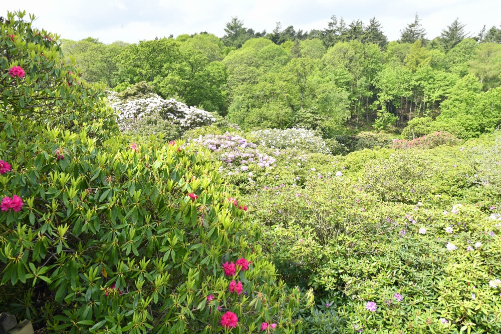 Sheringham Park