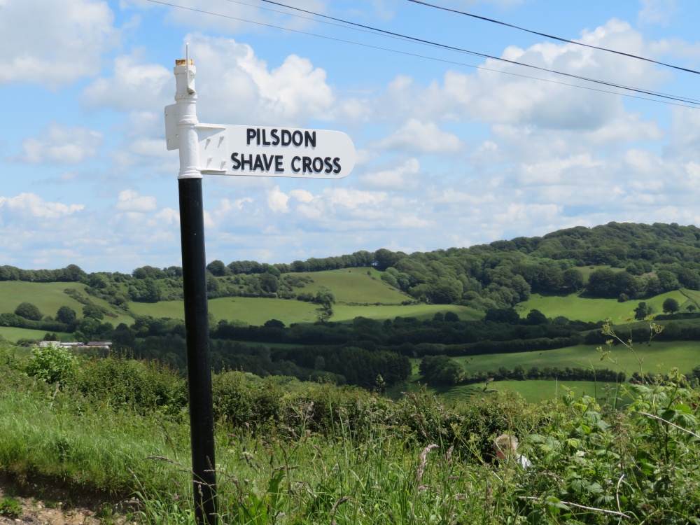 Photograph of Old-fashioned signpost pointing to Pilsdon, Dorset