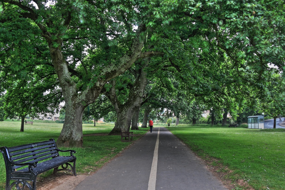 Budleigh Salteton's Green