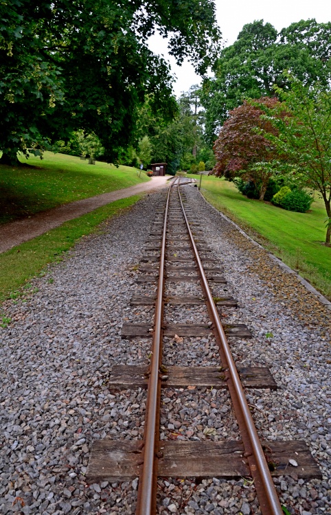 Bicton railway