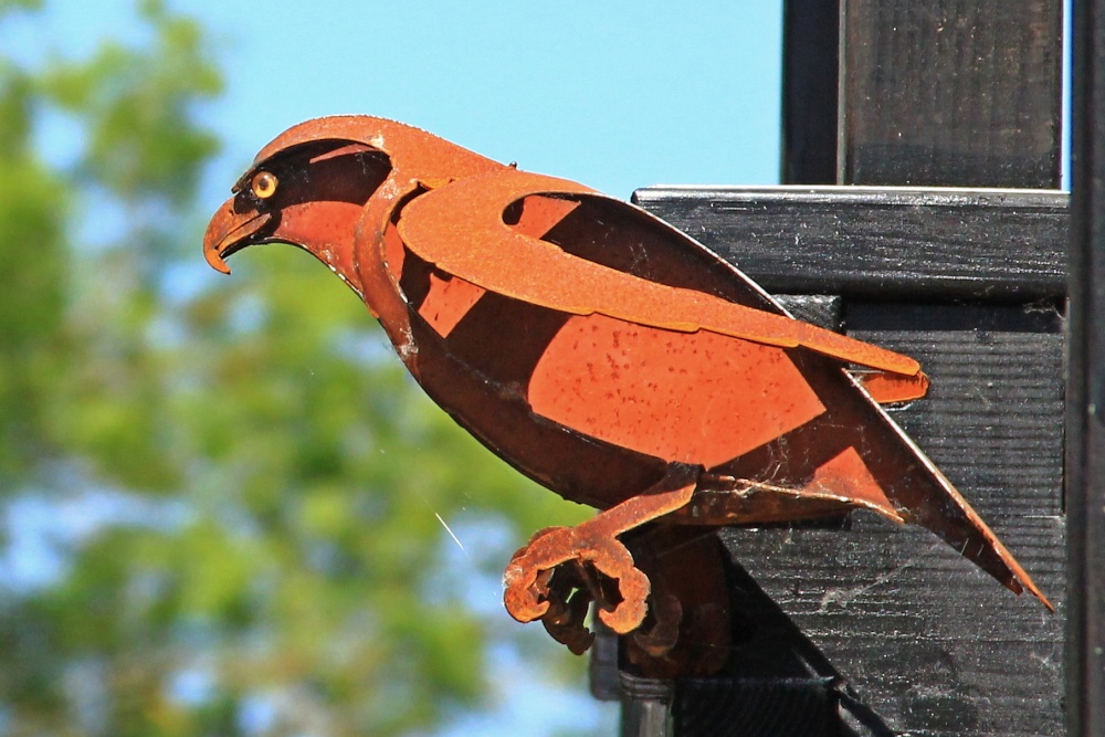 Otterton Hawk