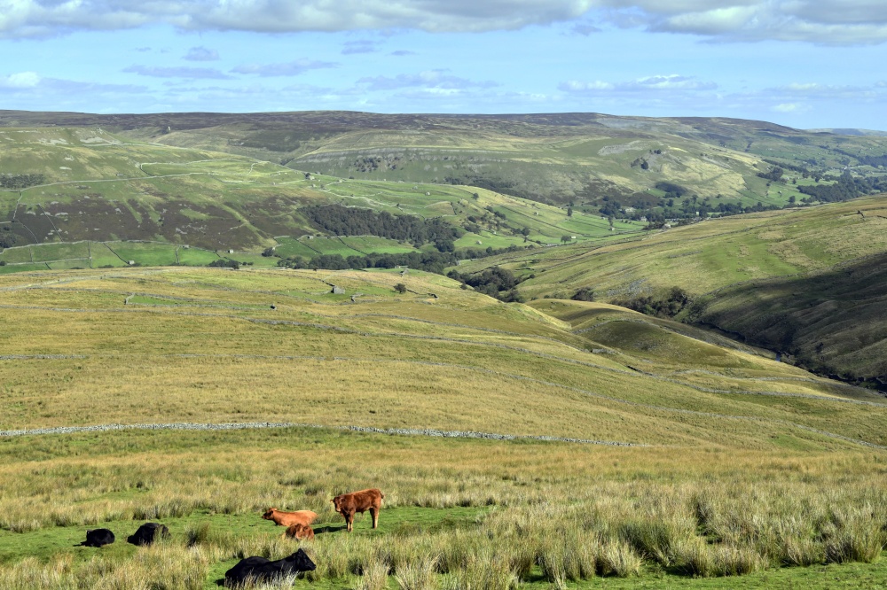 Buttertubs Pass near Muker