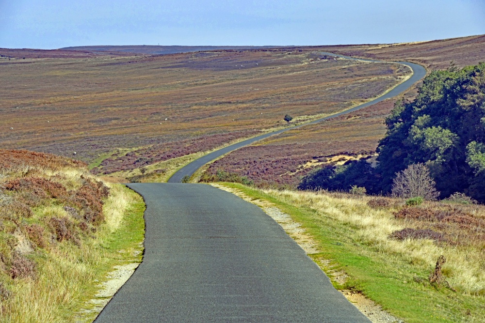 Spaunton Moor