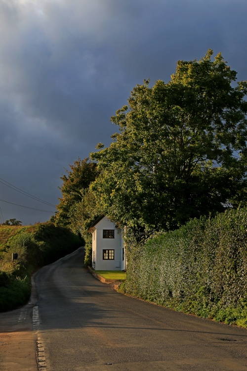 Otterton contrasts