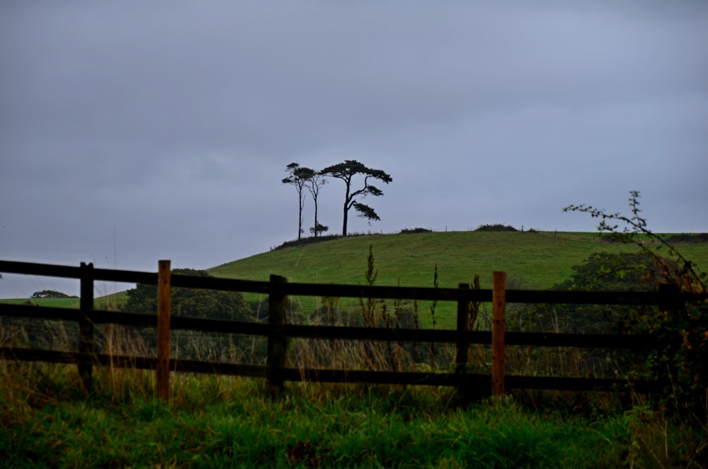 The Firs on the hill