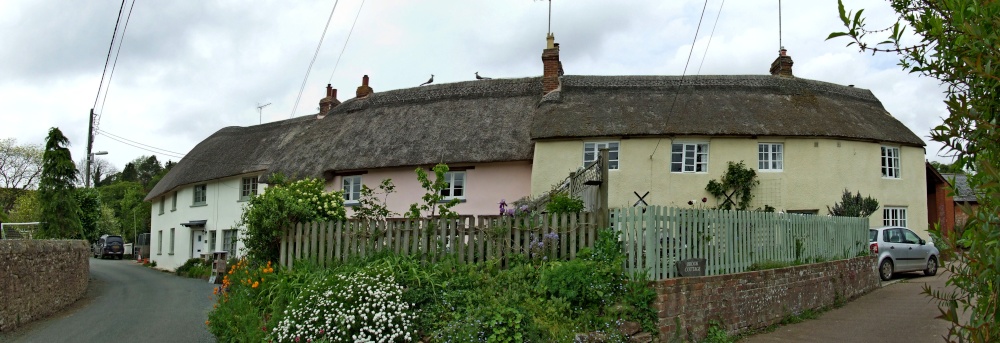 East Budleigh  Cottages