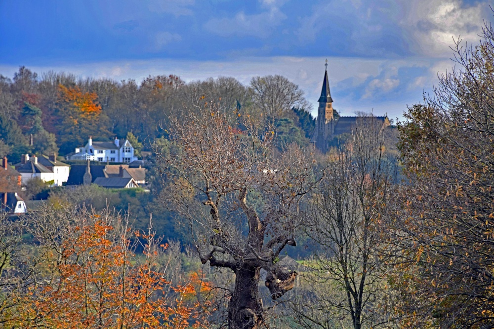 View from Emmetts Garden