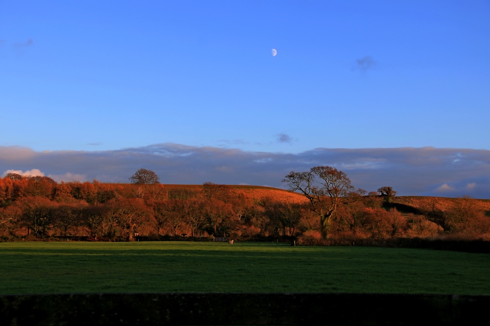 Budleigh Moon rise