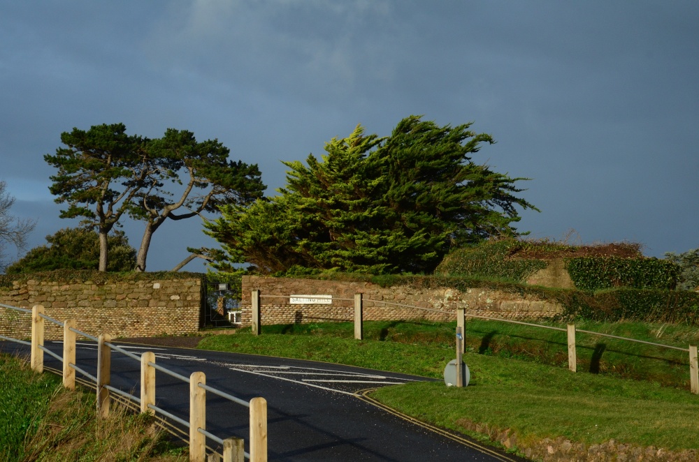 Budleigh Salterton Salting Hill