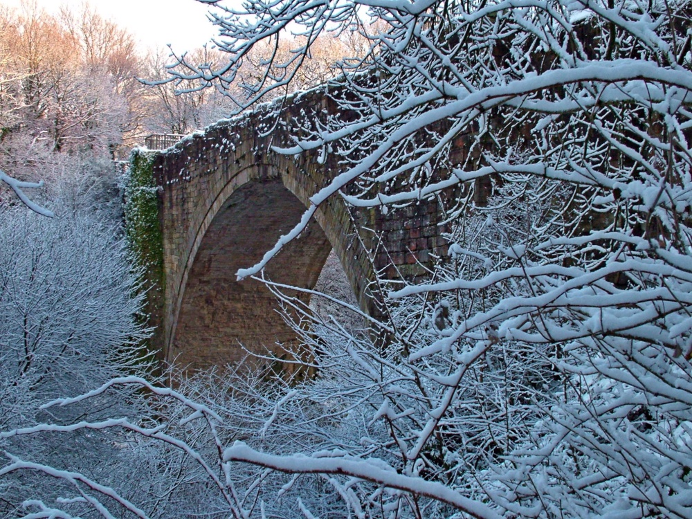 Tanfield - Causey Arch