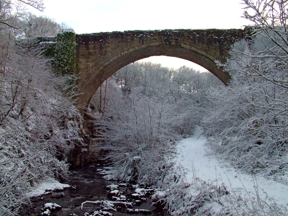 Causey Arch - Tanfield