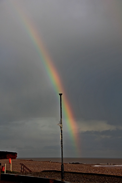 Budleigh lights