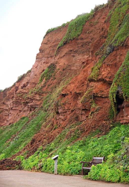 Budleigh Salterton slide