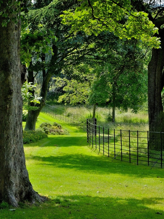 Woodland Walk at Cusworth Hall