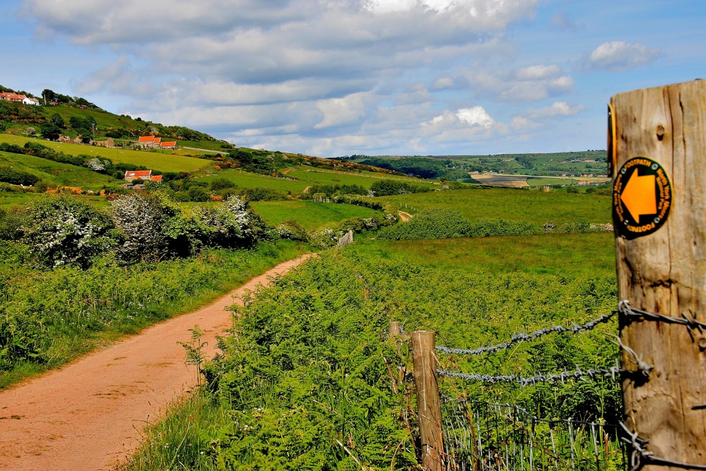 Cleveland Way at Ravenscar