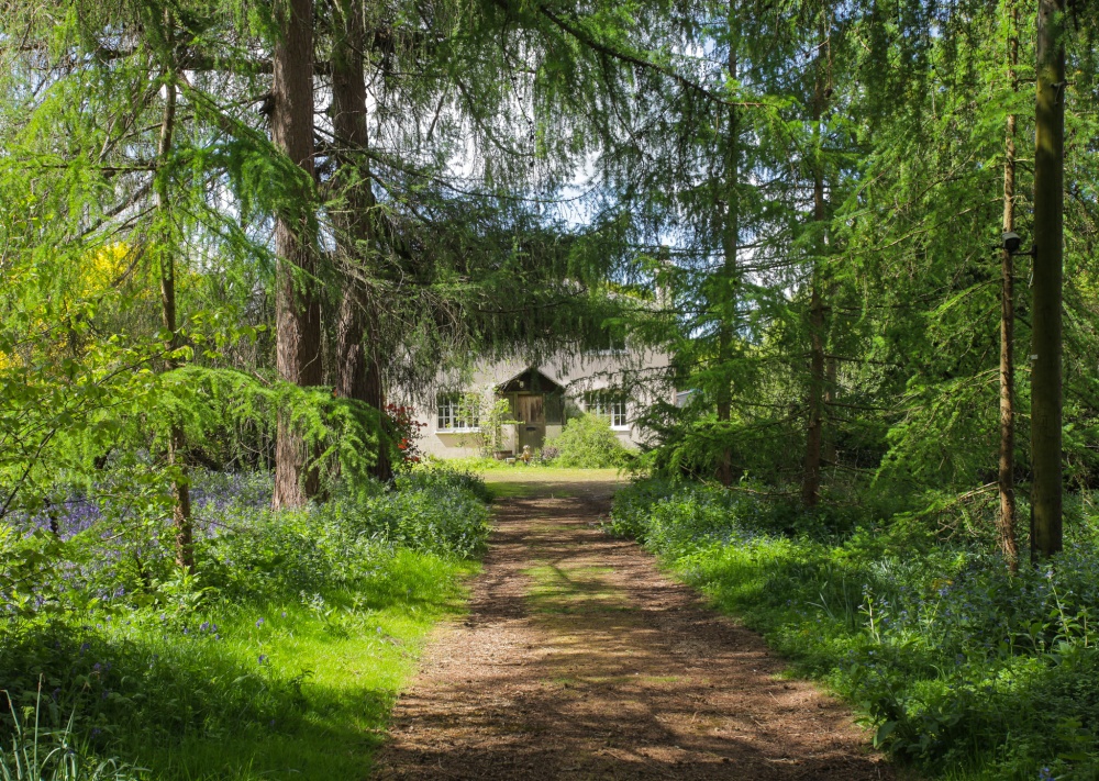 Beautiful Woodland Cottage, Kent