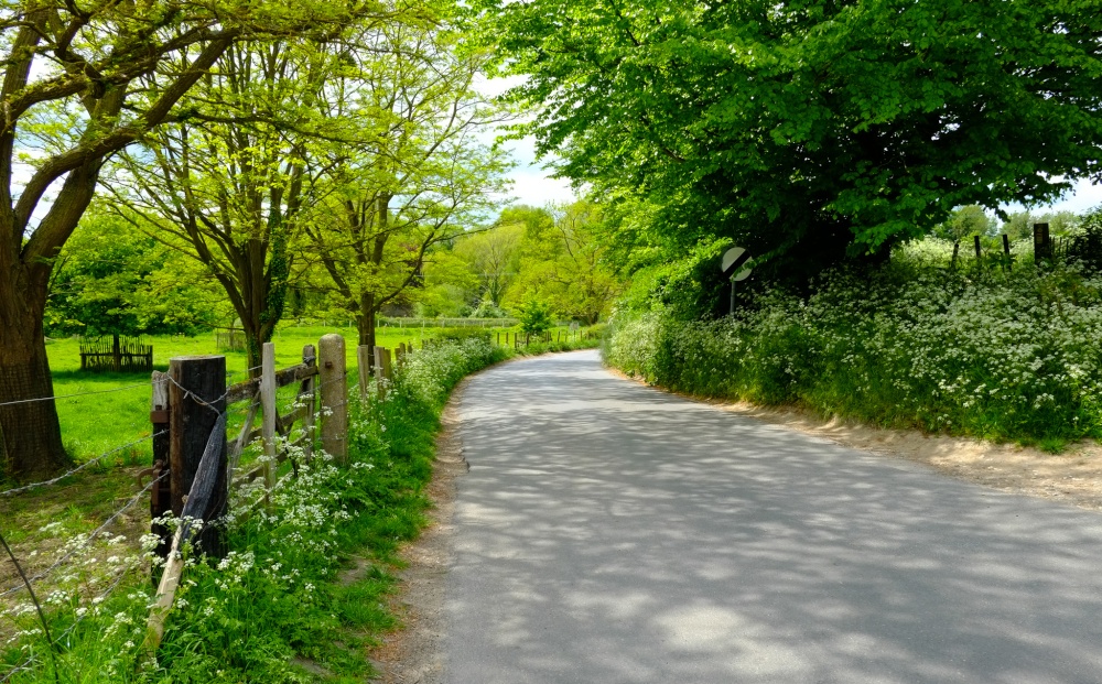 Kent country lane