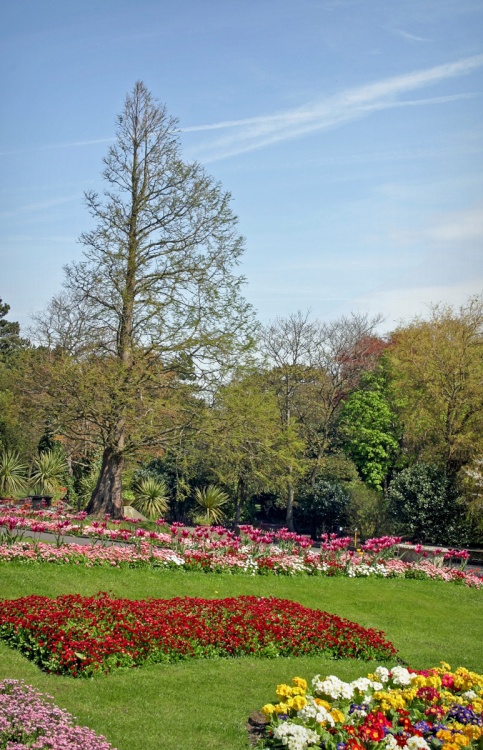 Botanic Gardens, Churchtown