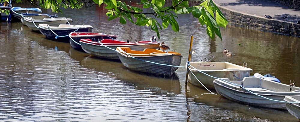 Rowing boats in the botanic gardens