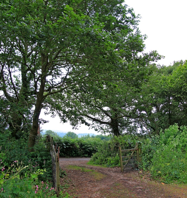 Exit gate from Tidwell Woods