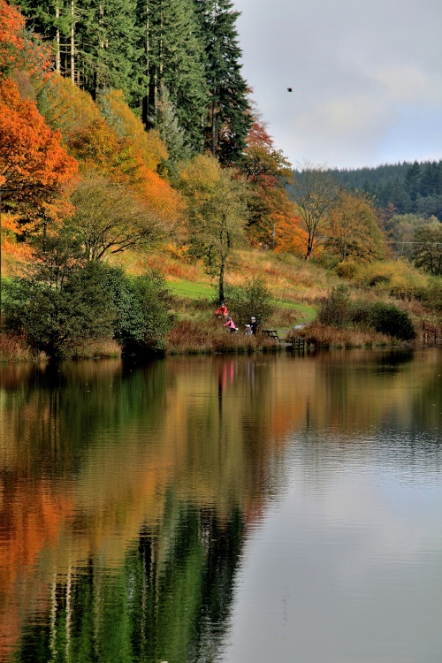 Dalby Forest