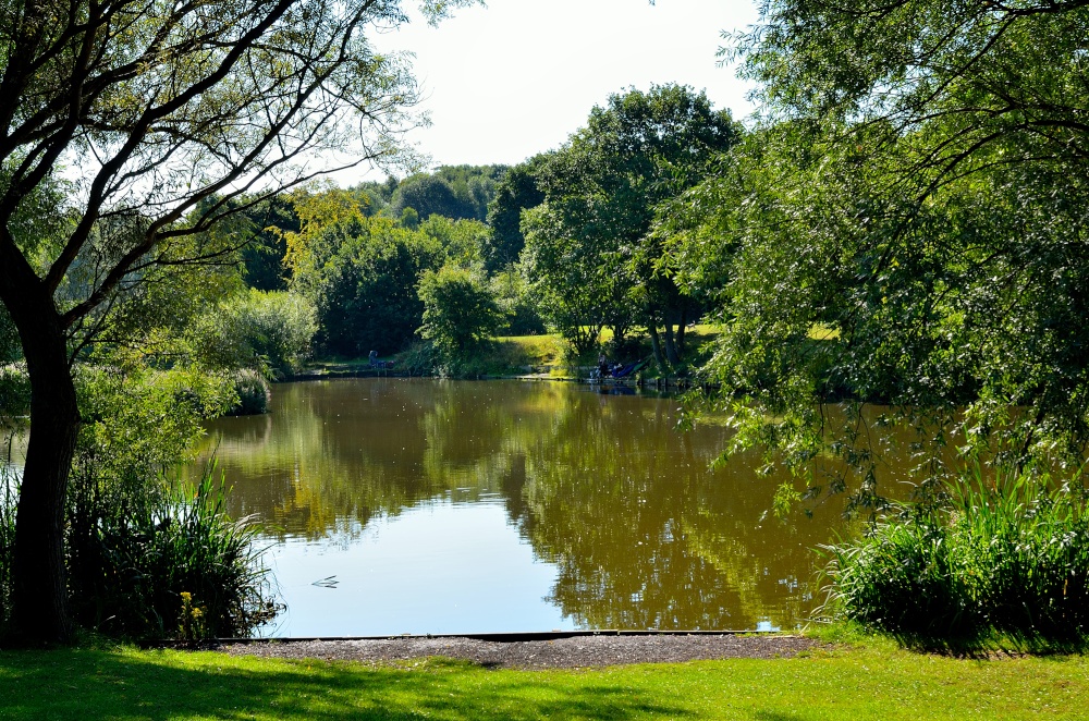 Dearne Valley Park, Barnsley