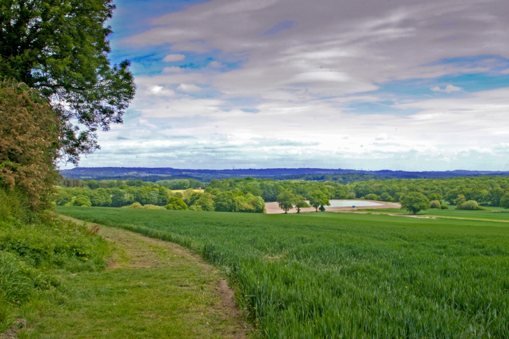 Photograph of Overlooking the South Downs at Elsted