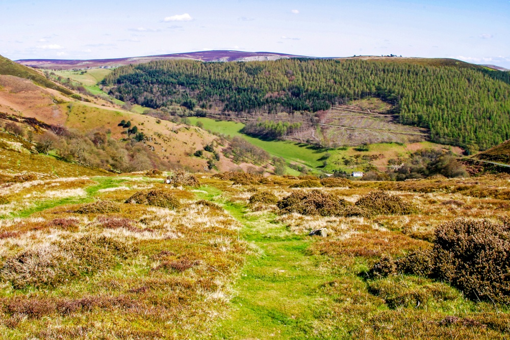 Horseshoe Pass