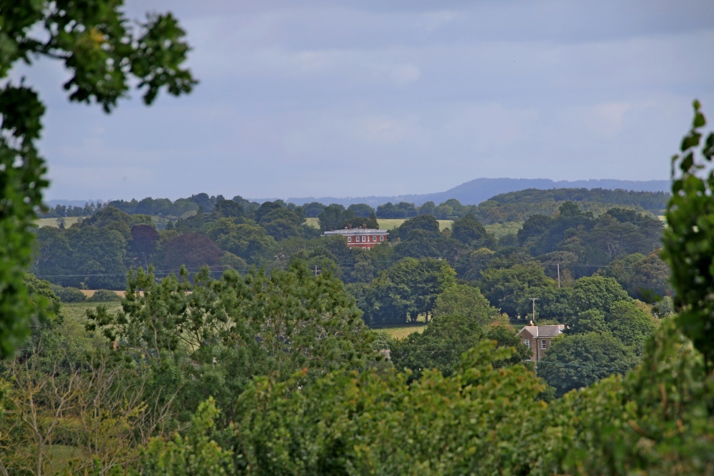 The lane to East Budleigh