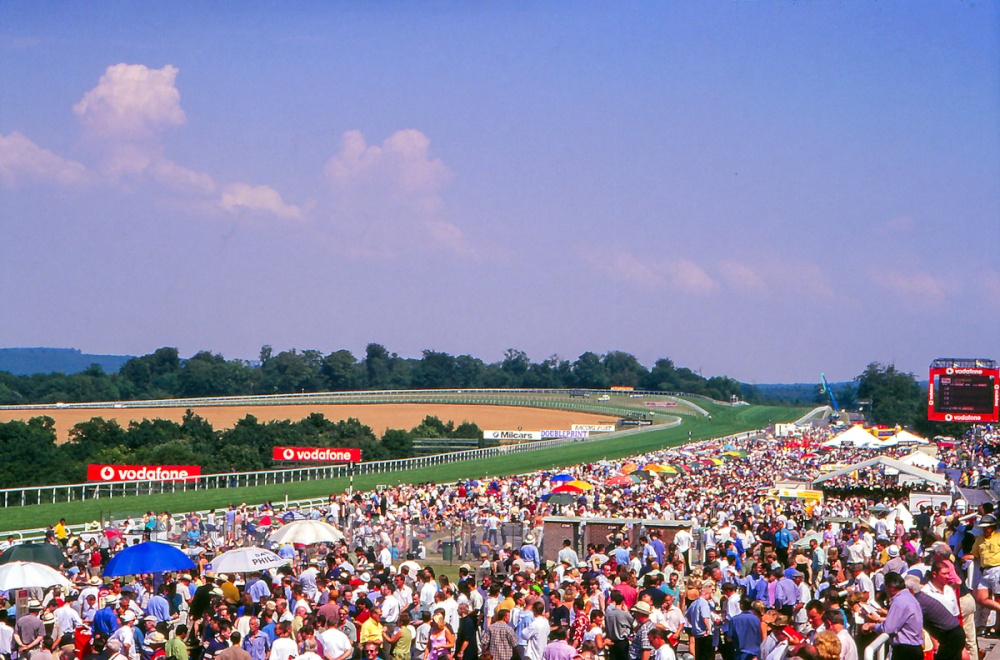 A day at the races