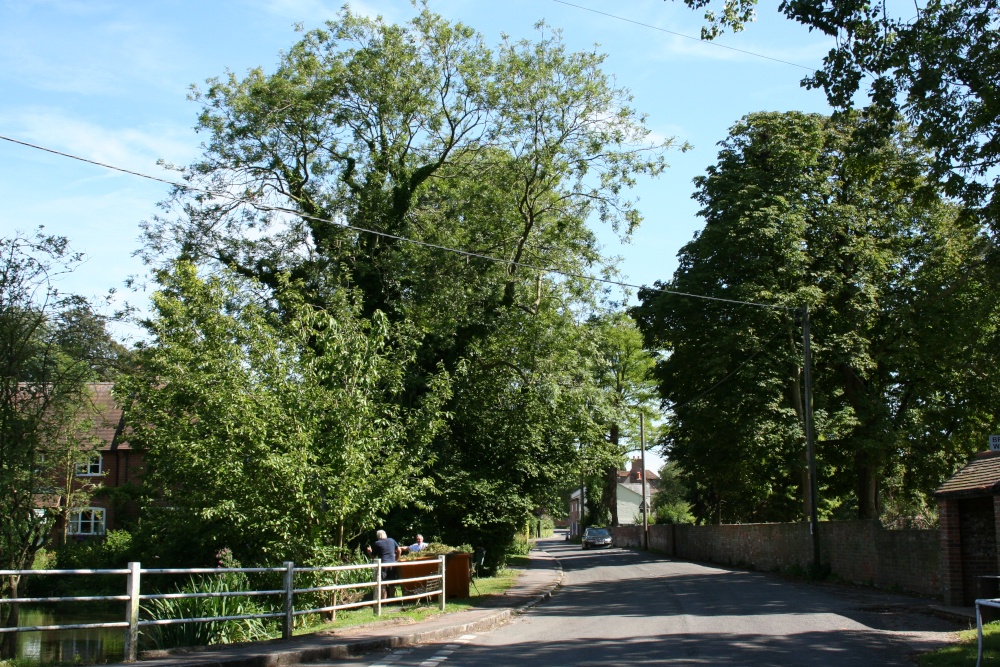 High Street Ewelme, and the pond