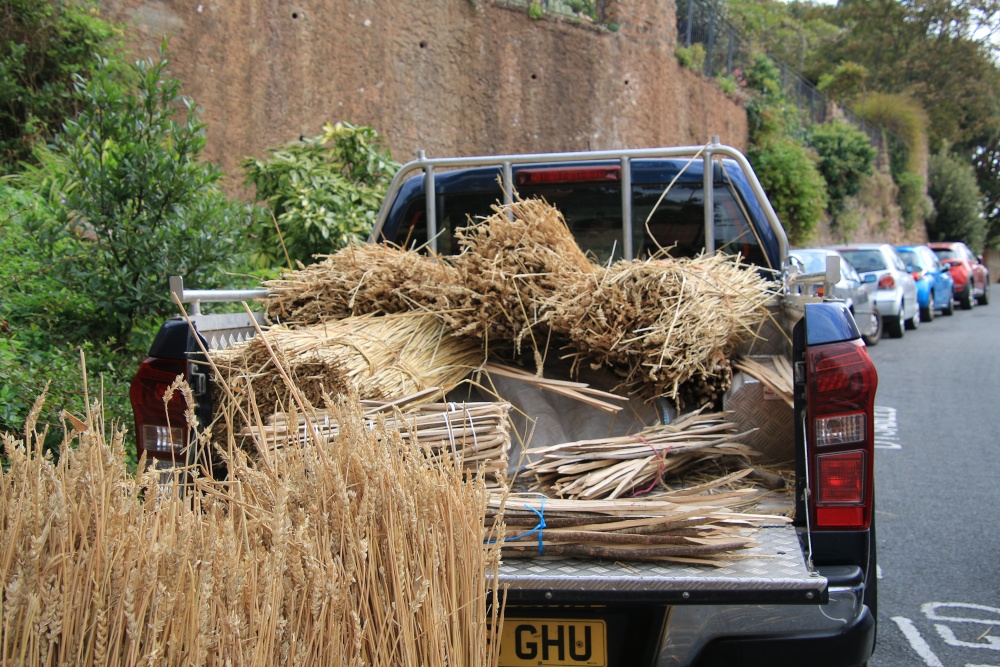 Budleigh thatching