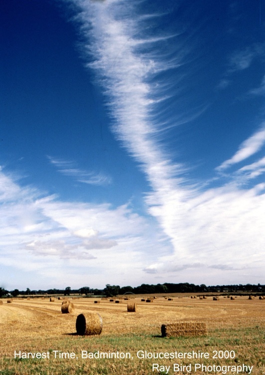 Harvest Time, Badminton, Gloucestershire 2000