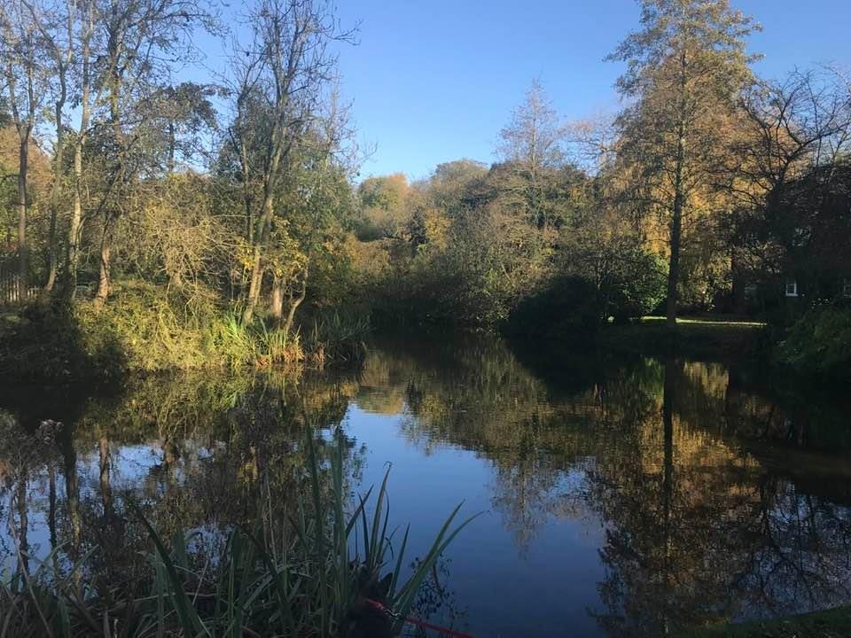 King's Pool, Ewelme