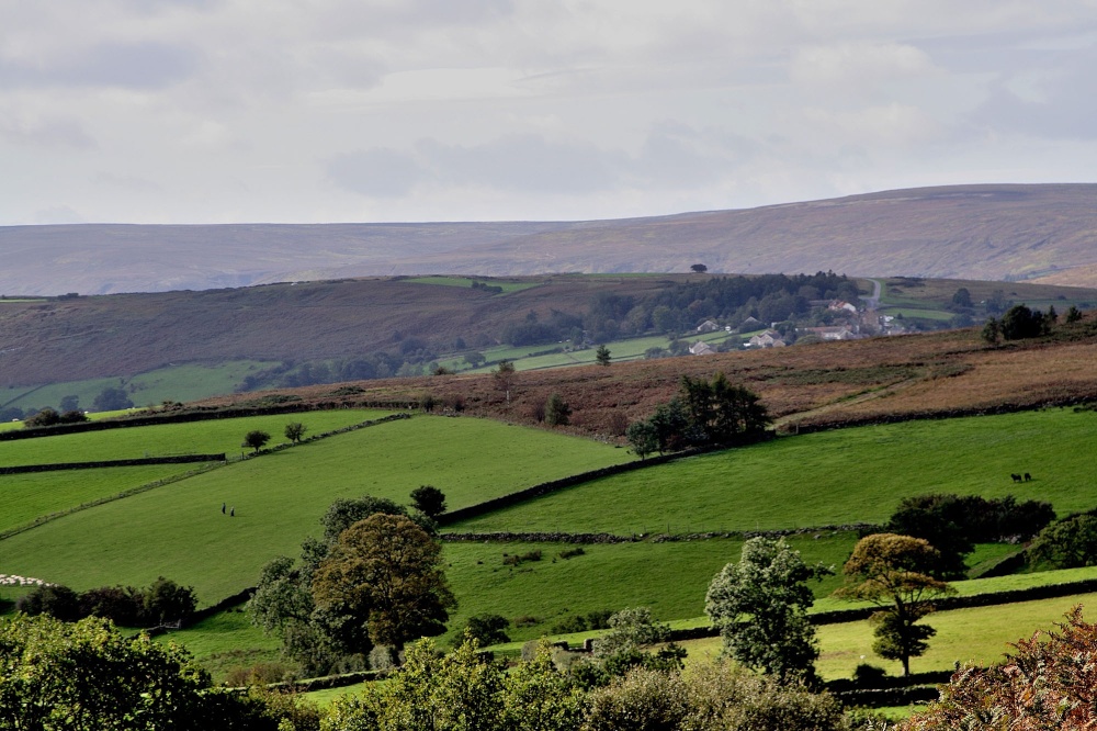 Embsay Moor near Skipton photo by Tom Curtis