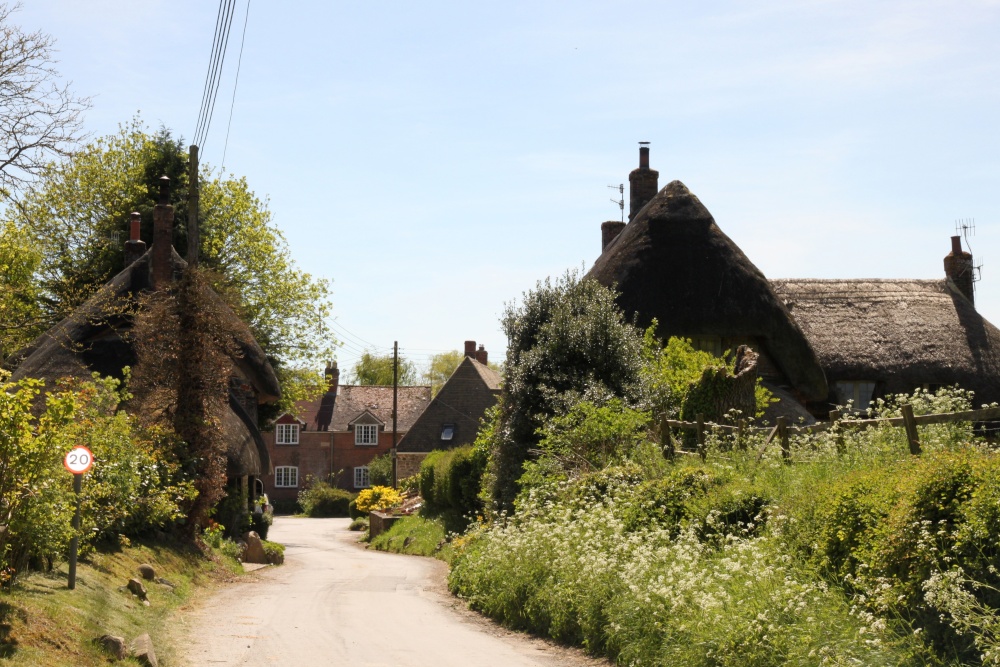 Photograph of Ancient thatch and cow parsley at Ogbourne St. Andrew