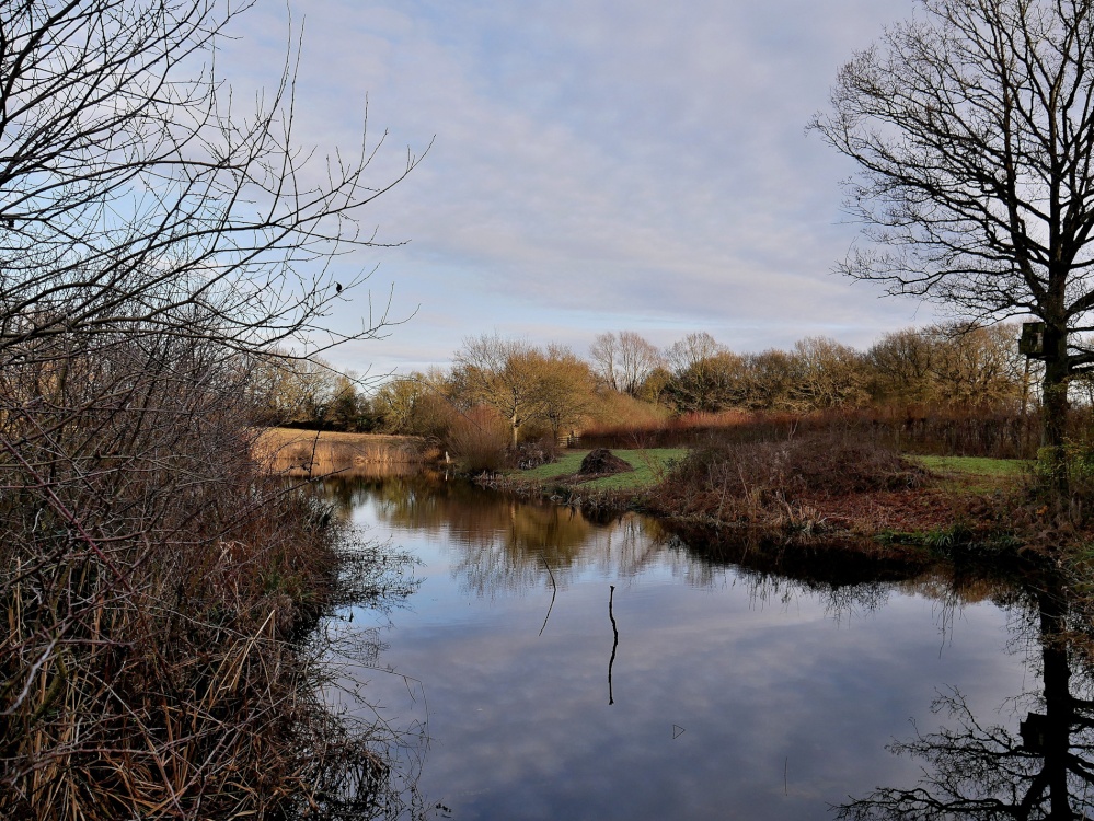 Photograph of Phyllis Currie Nature Reserve, Great Leighs