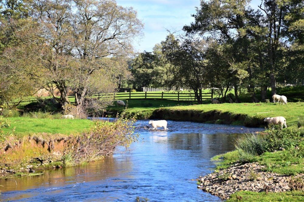 The River Clun. Near Clun