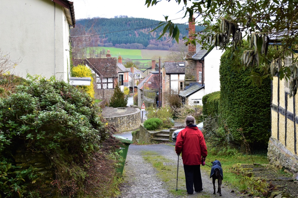 An afternoon stroll.