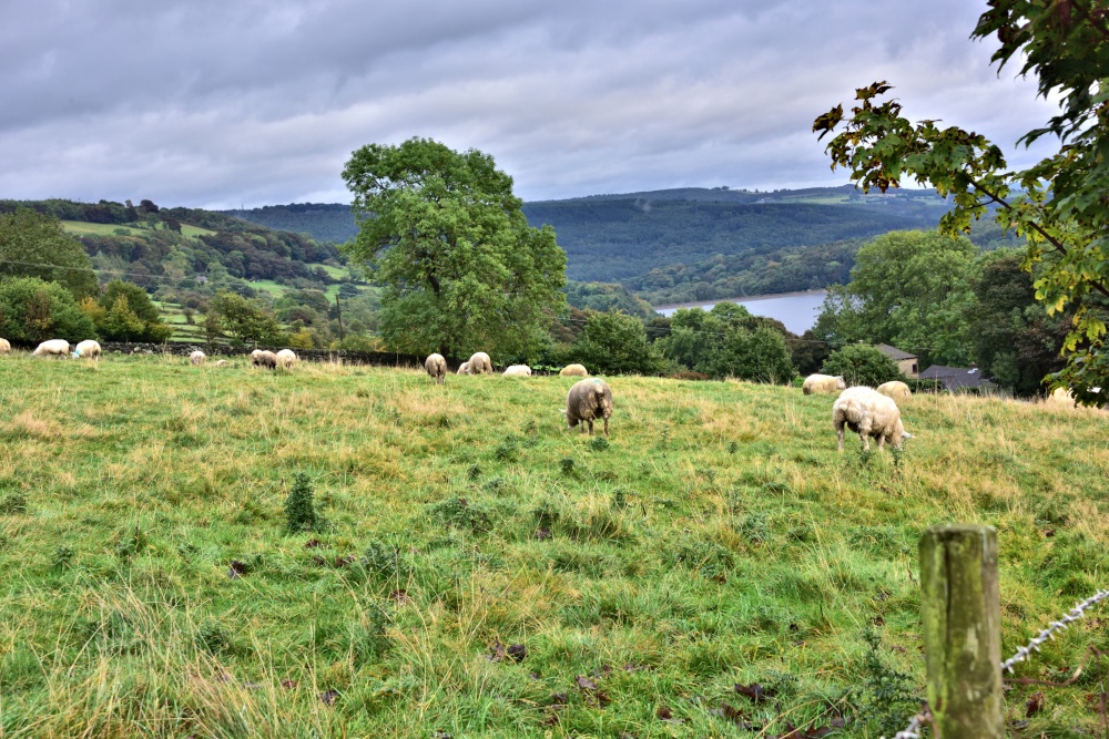 More Hall Reservoir at Ewden, Viewed from New Mill Bank