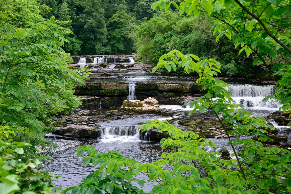 Aysgarth Upper Falls