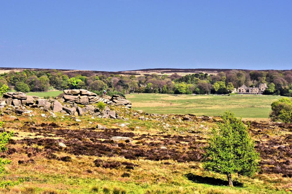 Owler Tor & the Longshaw Estate Beyond