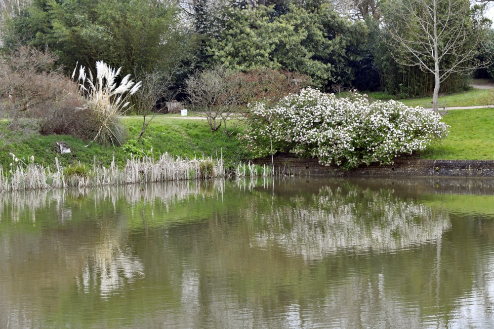 Marks Hall Estate, Coggeshall