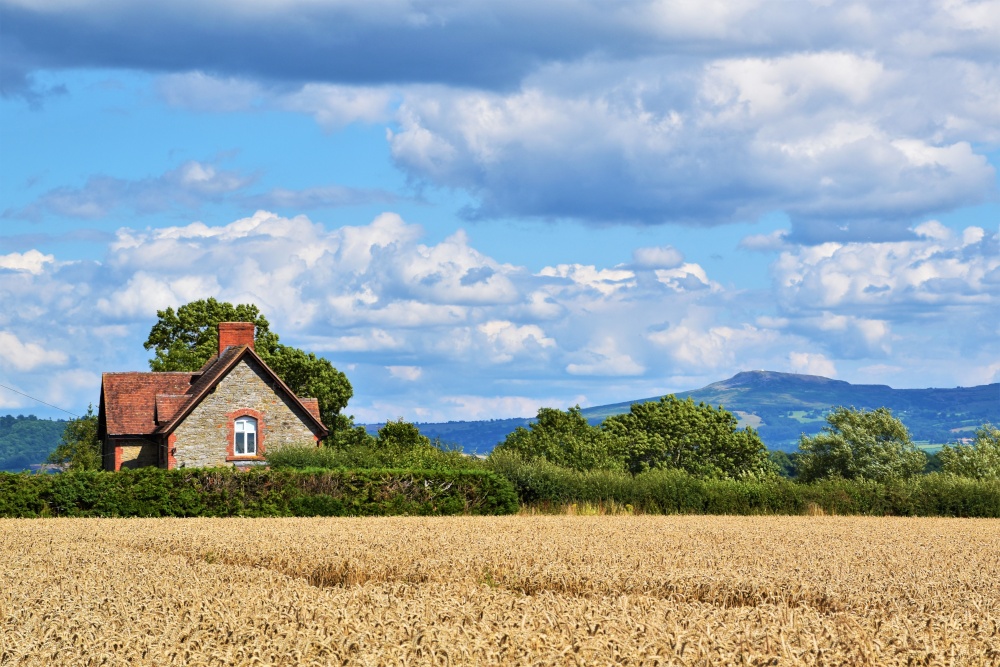 A cottage at Downton on the Rock with Clee Hill in the background.