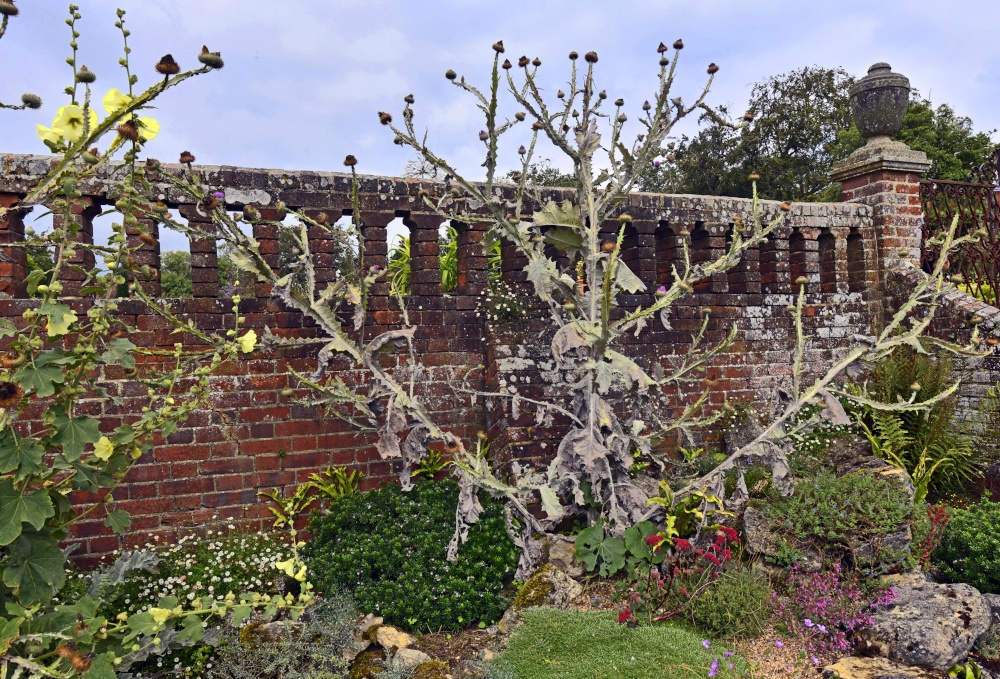 Doddington Place Garden