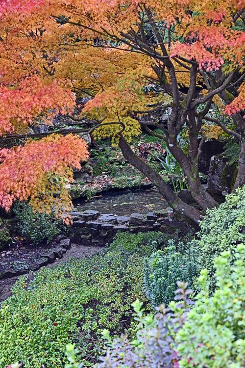 Leonardslee Gardens, Horsham